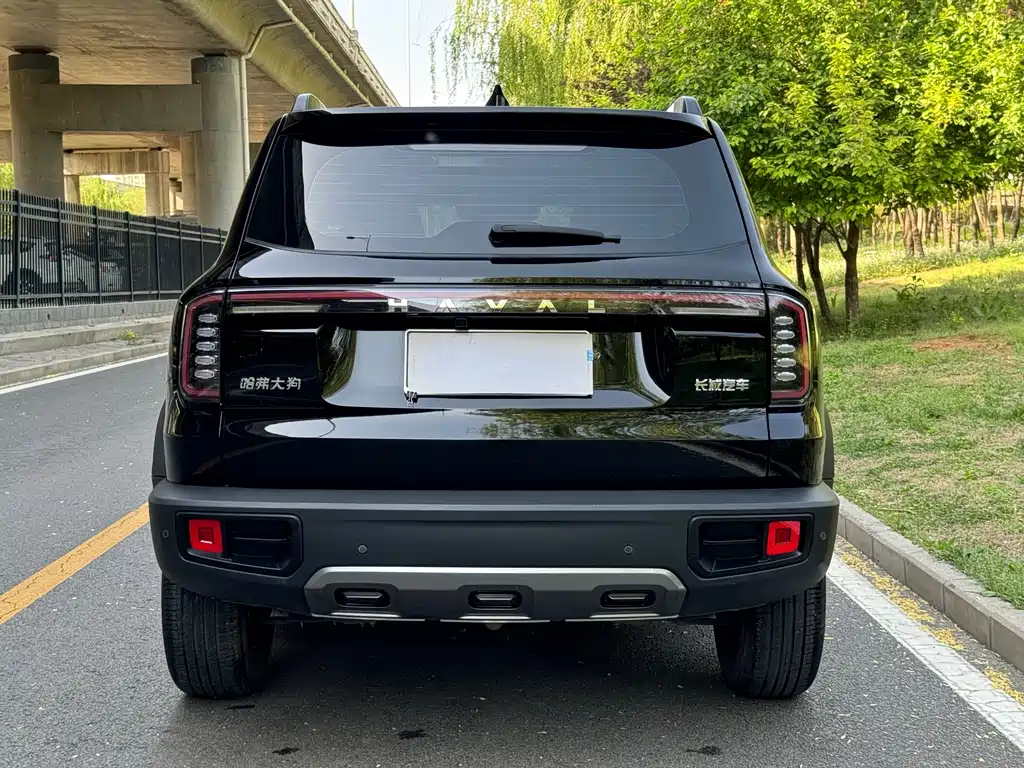 Haval Big Dog - фото 19