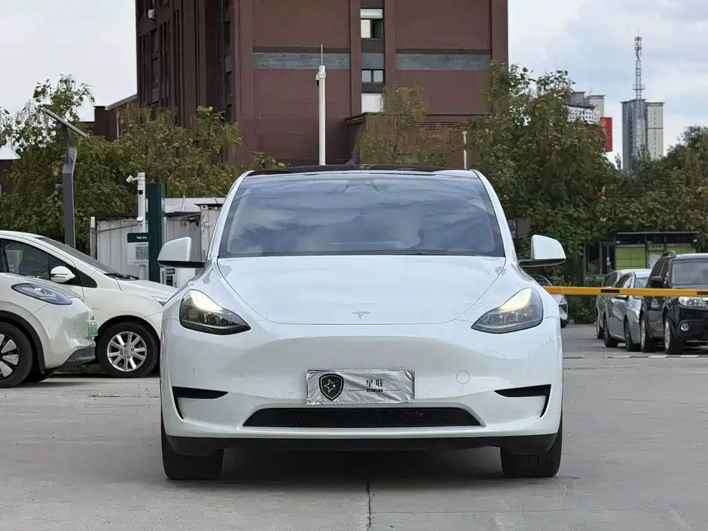 Tesla Model Y — миниатюра 2