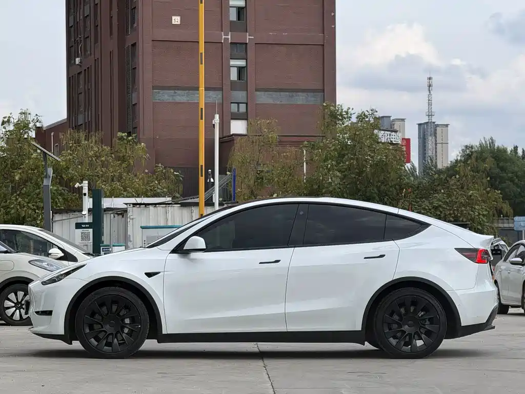 Tesla Model Y — миниатюра 7