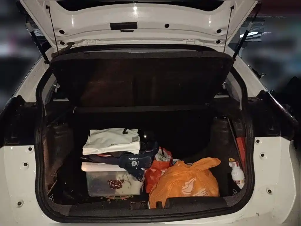 Chery Tiggo 3x — миниатюра 10