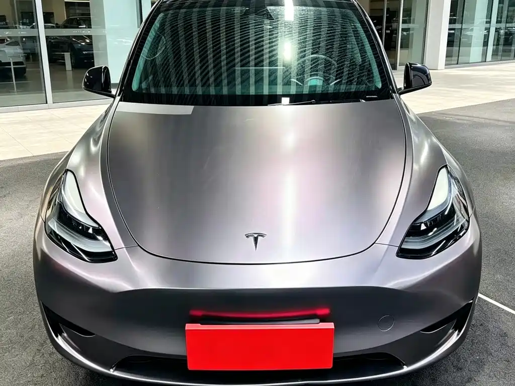 Tesla Model Y — миниатюра 2