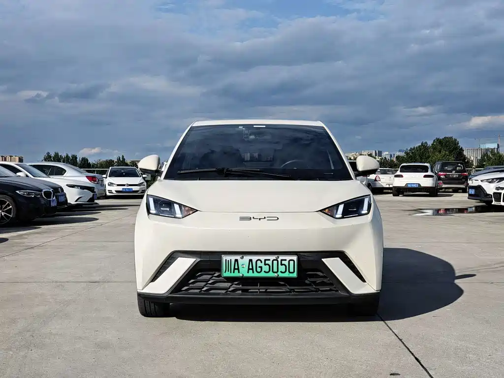 BYD Seagull 2023 Flying