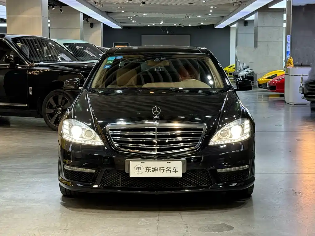 Mercedes-Benz S-Class A MG S AMG 2010 AMG S 65