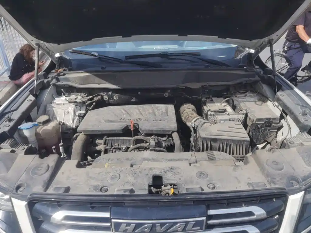 Haval Big Dog — миниатюра 16