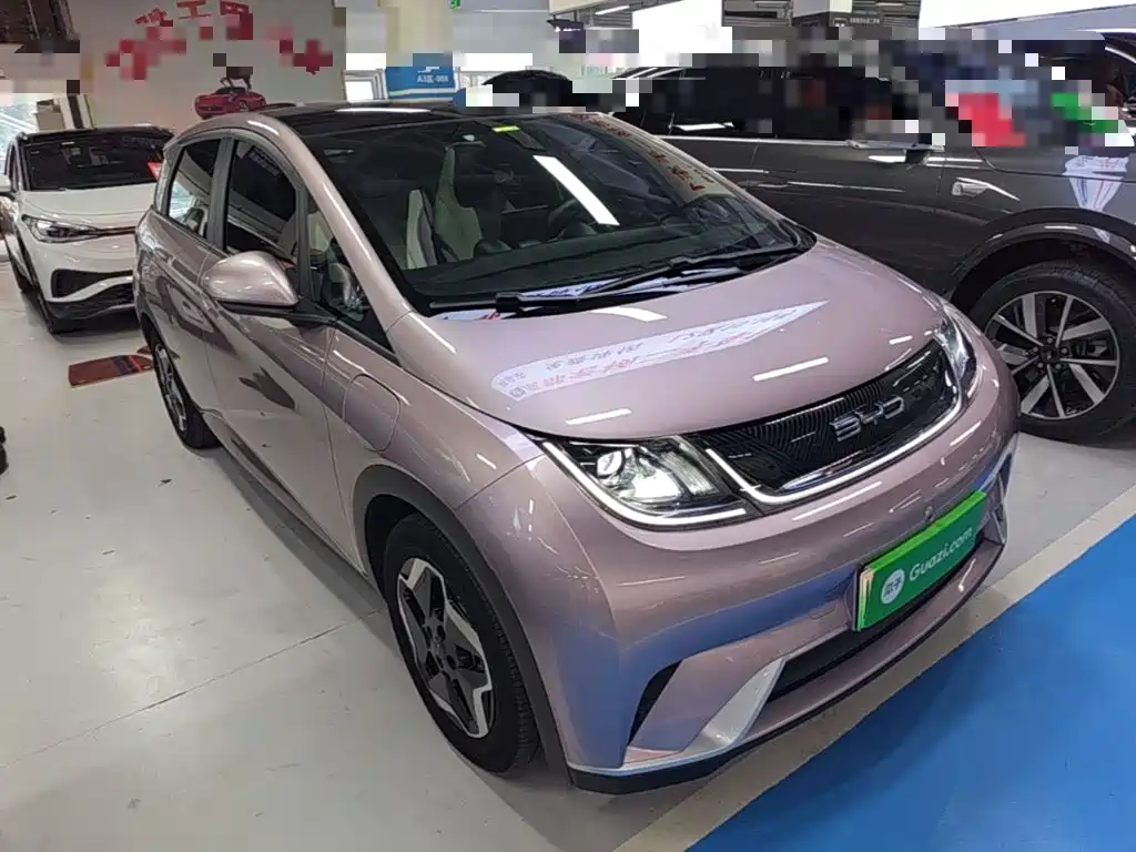 BYD Dolphin 2021 405km Fashion