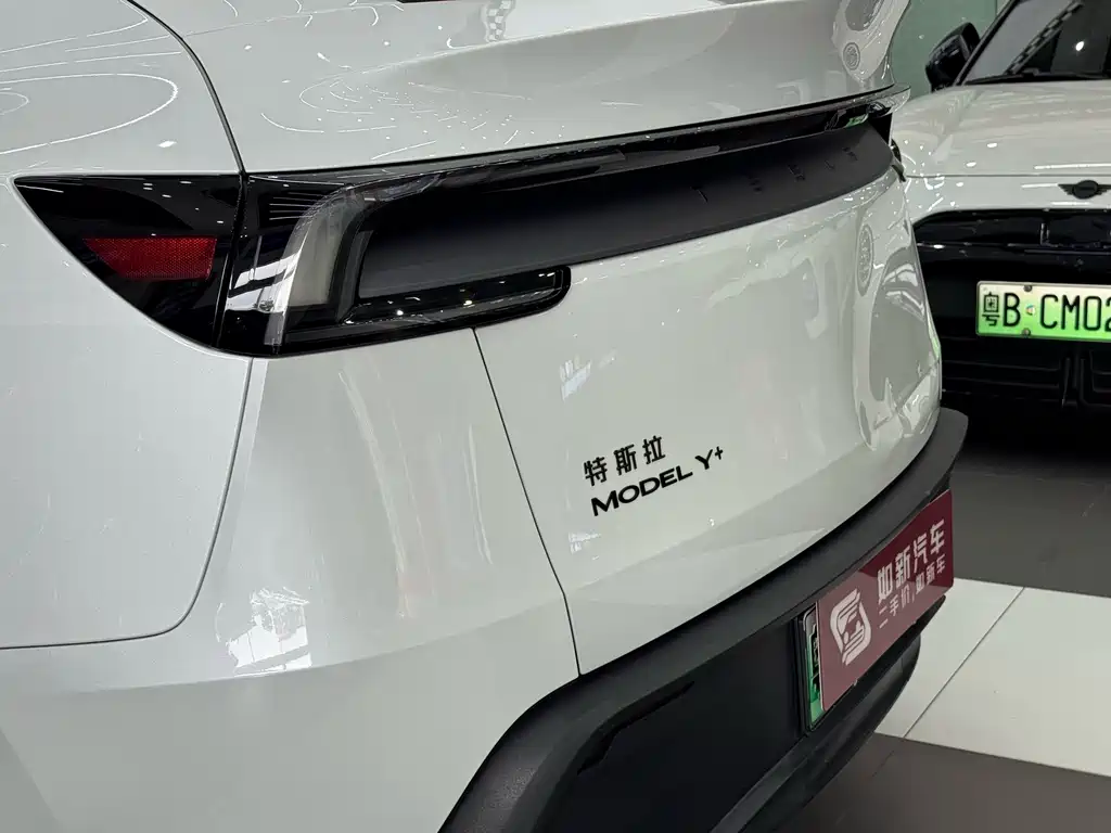 Tesla Model Y — миниатюра 6
