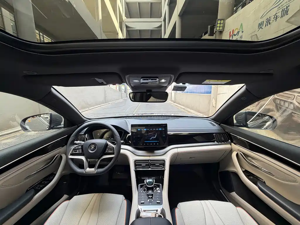 BYD PLUS New Energy — миниатюра 4