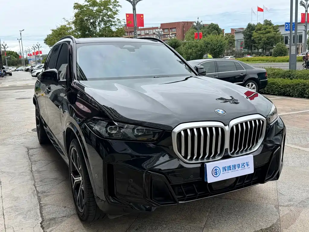 BMW X5 — миниатюра 3