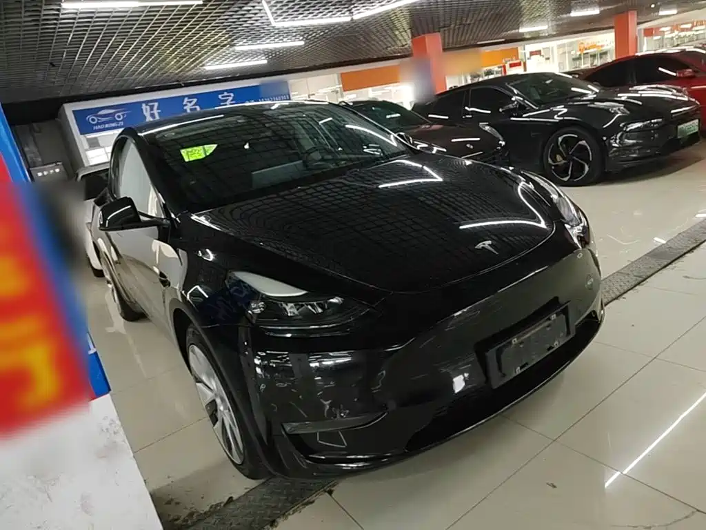 Tesla Model Y — миниатюра 4