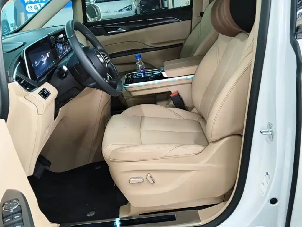 Buick GL8 — миниатюра 15