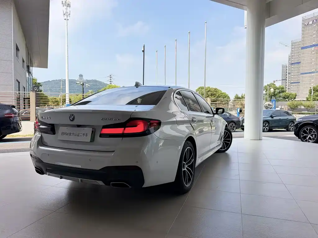 BMW 5 Series New Energy — миниатюра 5