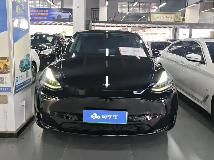 Tesla Model Y — миниатюра 2