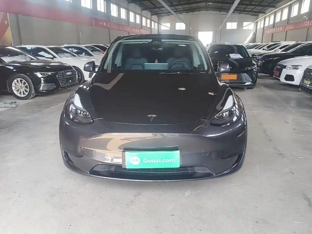 Tesla Model Y — миниатюра 3