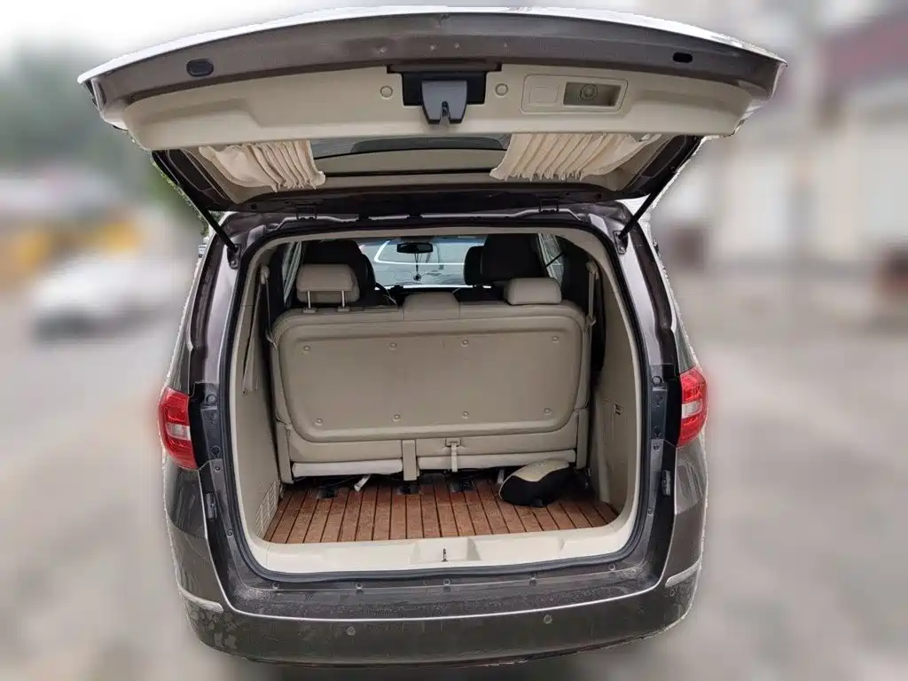 Buick GL8 — миниатюра 10