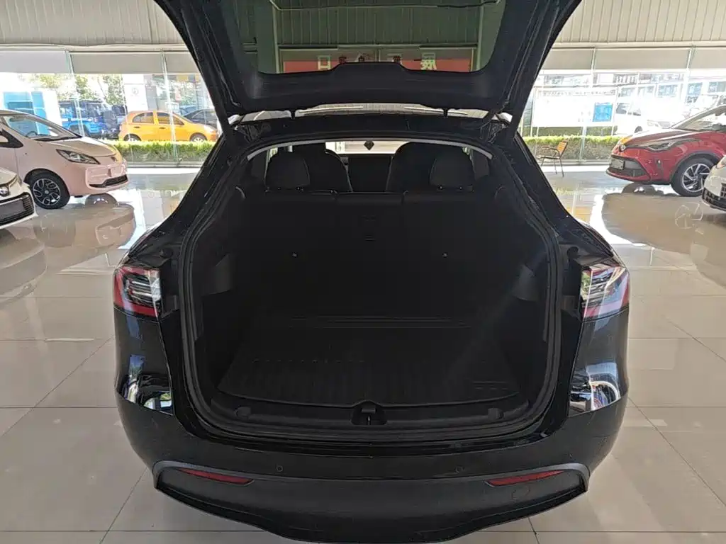 Tesla Model Y — миниатюра 19