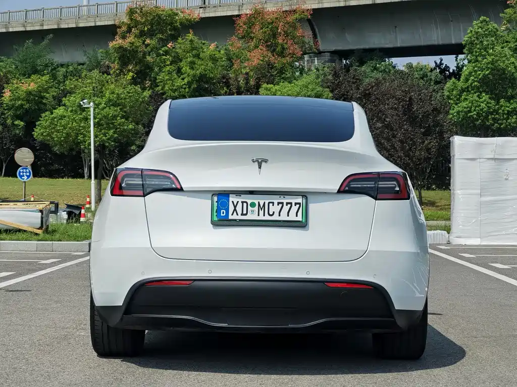 Tesla Model Y — миниатюра 6