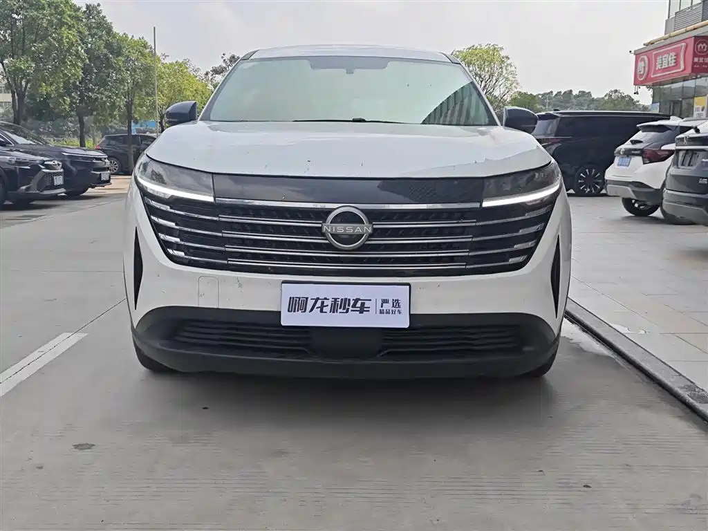Nissan Teramont — миниатюра 2