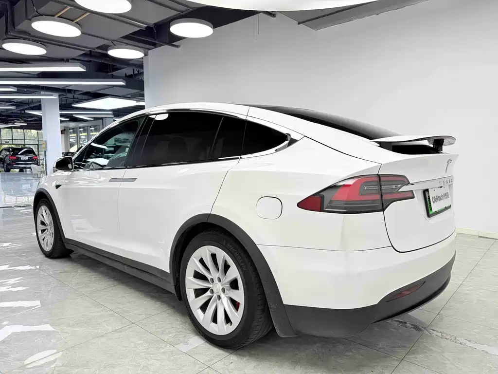 Tesla Model X 2019 Performance