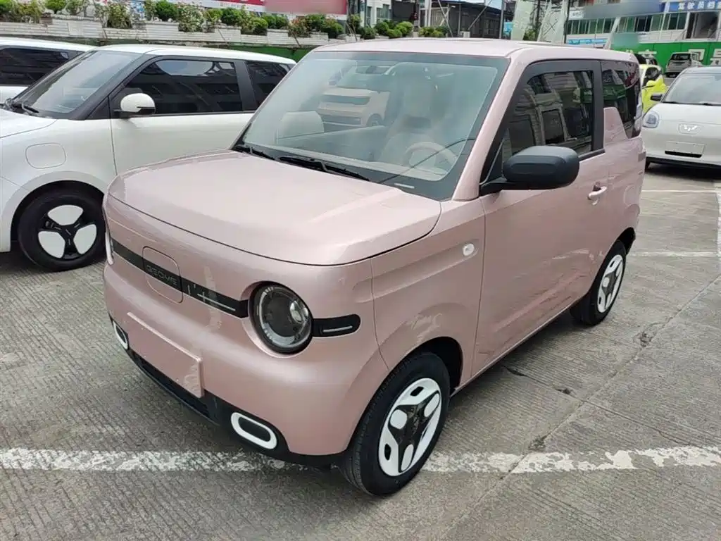 BYD Panda 2025 Panda mini 210km Energetic Bear