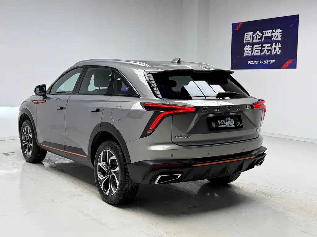Haval Shenshou — миниатюра 6