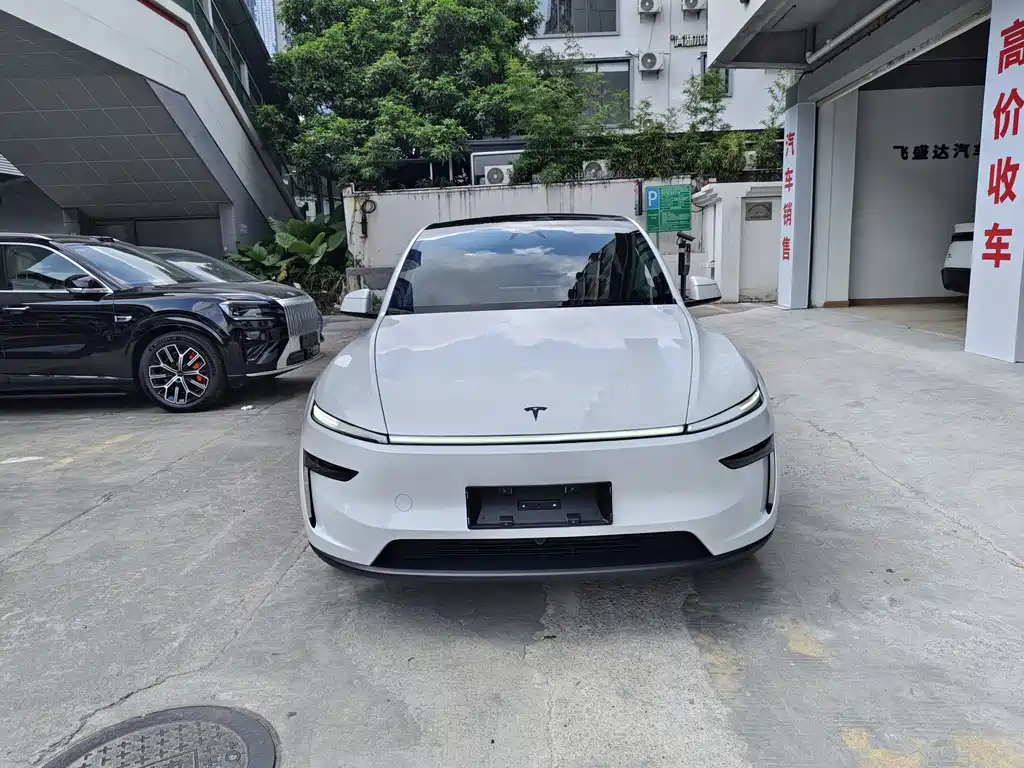 Tesla Model Y — миниатюра 2