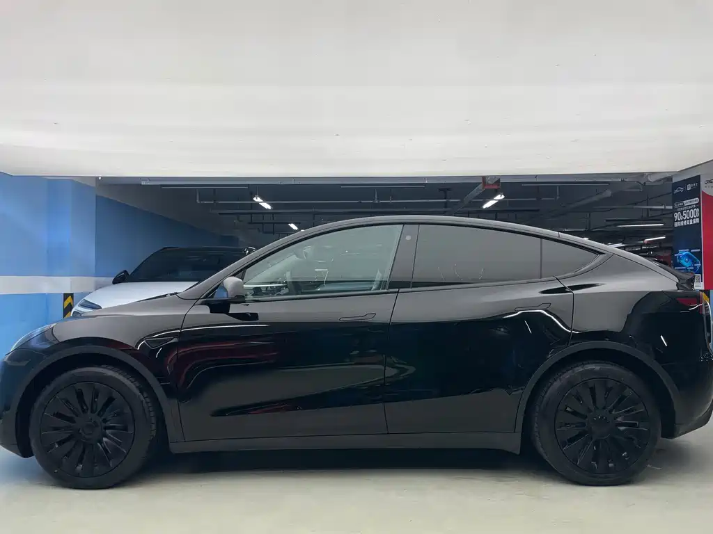 Tesla Model Y — миниатюра 5