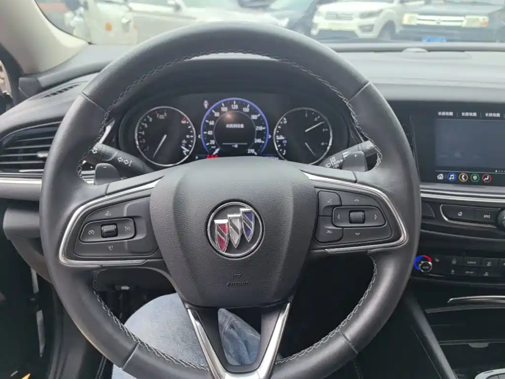 Buick Regal — миниатюра 11