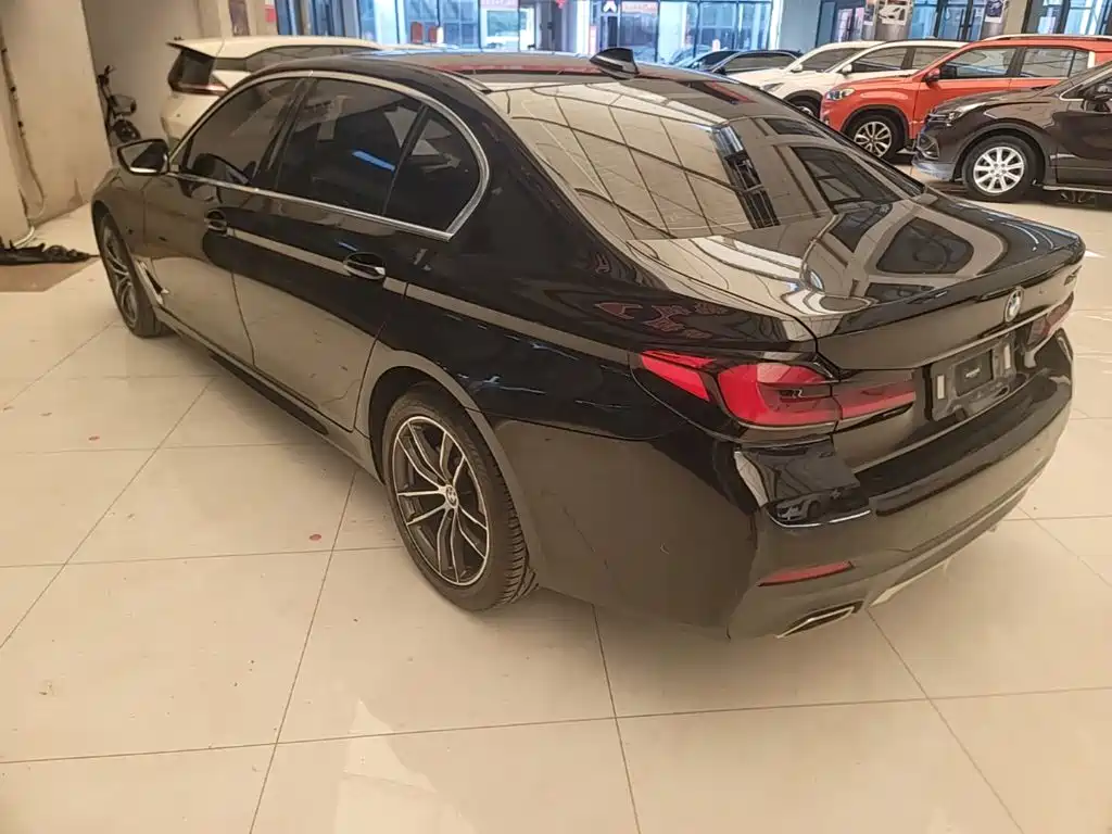 BMW 5 Series — миниатюра 5