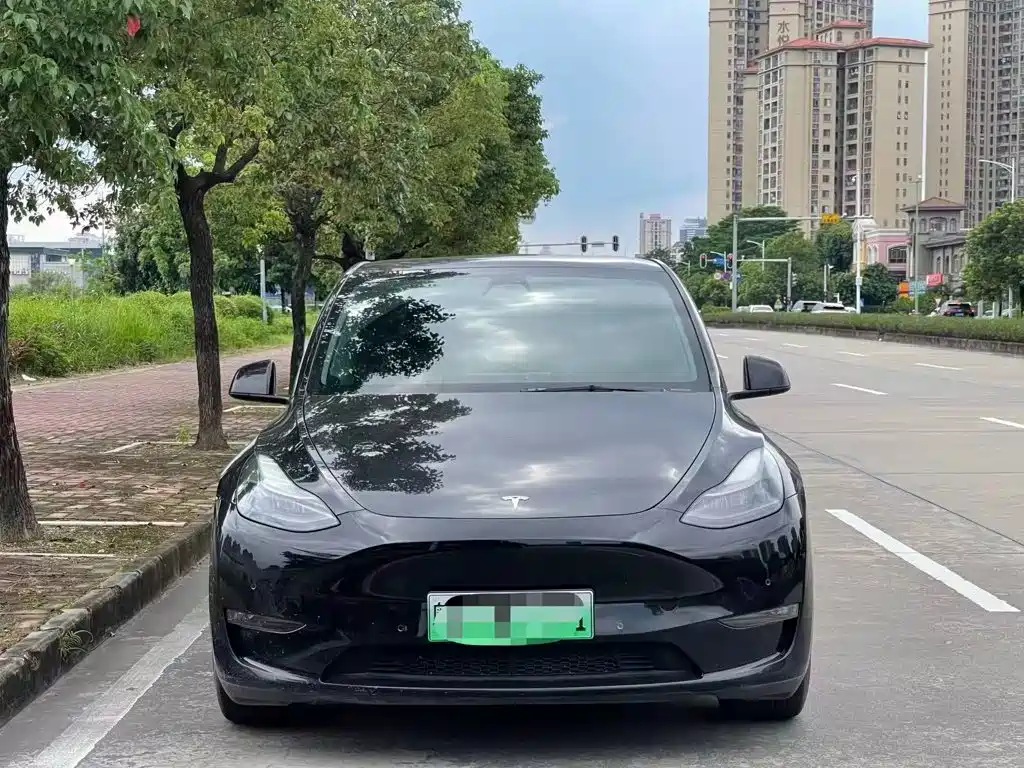 Tesla Model Y — миниатюра 2