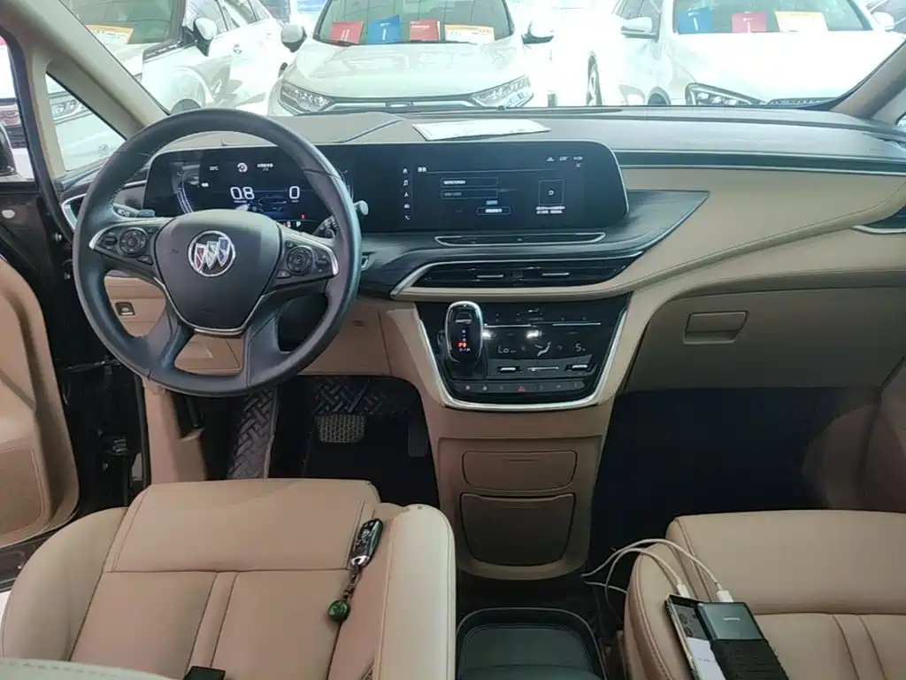 Buick GL8 — миниатюра 10