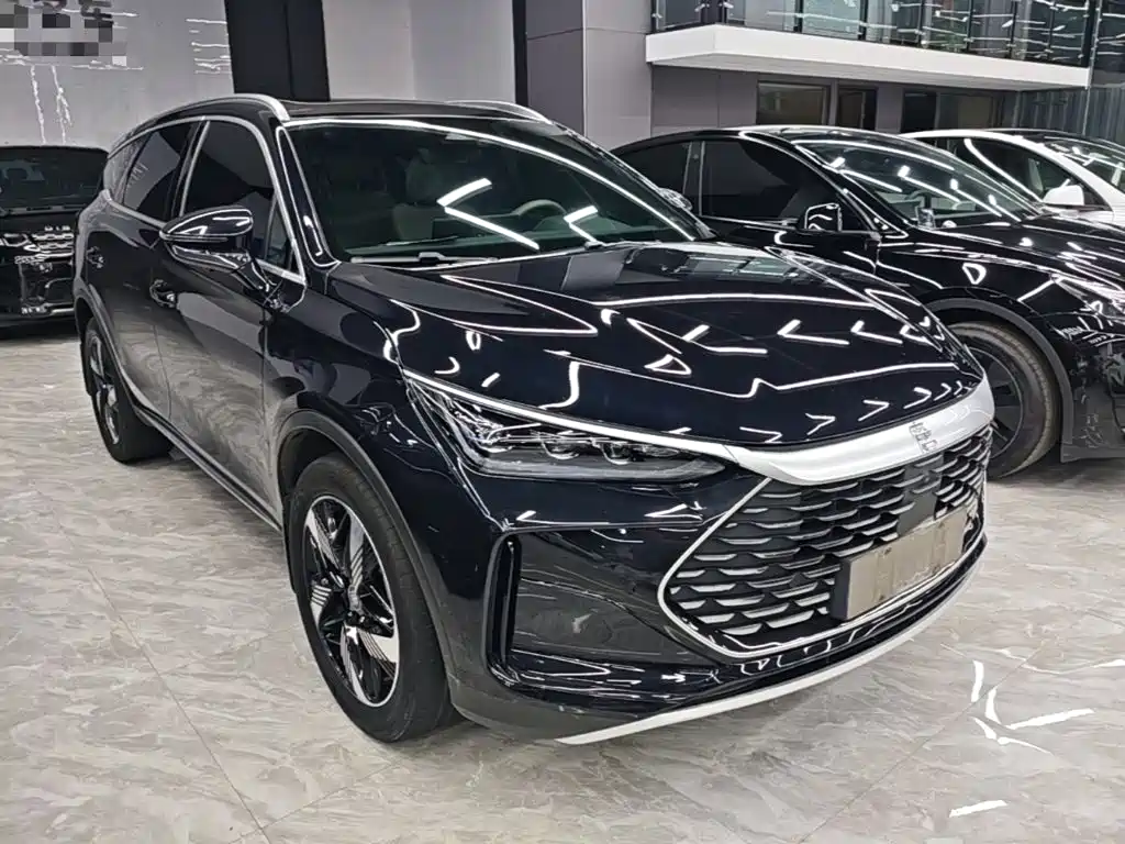 BYD Tang New Energy — миниатюра 4