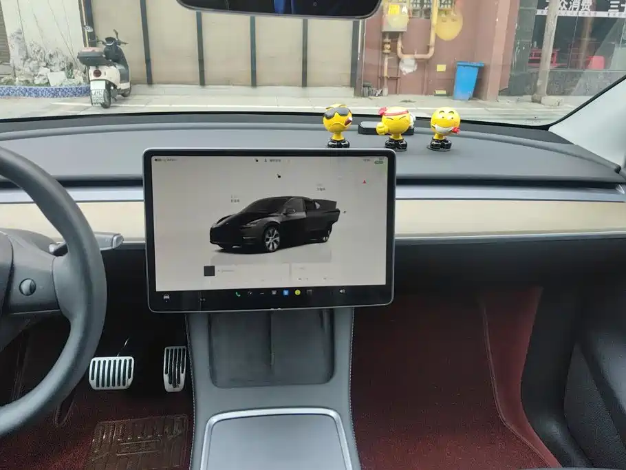 Tesla Model Y — миниатюра 13