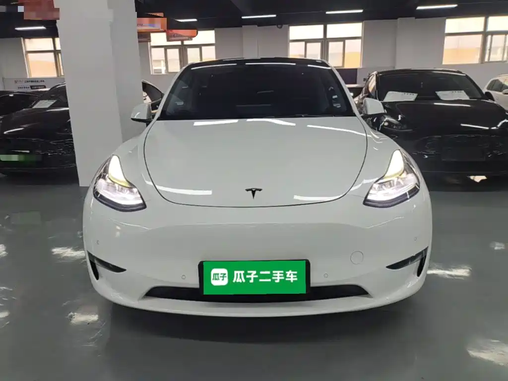 Tesla Model Y — миниатюра 3