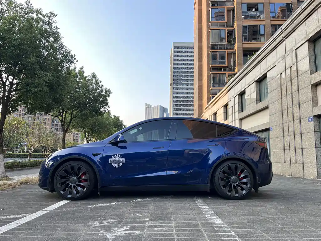 Tesla Model Y — миниатюра 4
