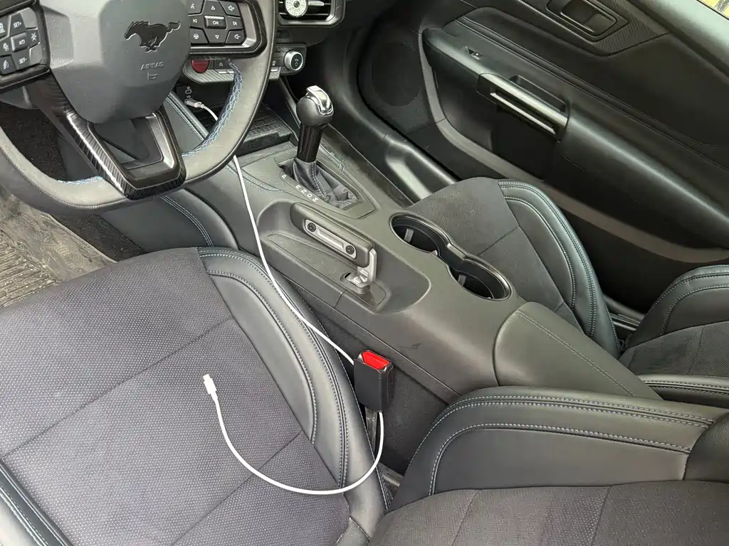 Ford Mustang — миниатюра 4