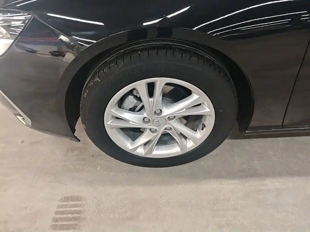 Buick Regal — миниатюра 23