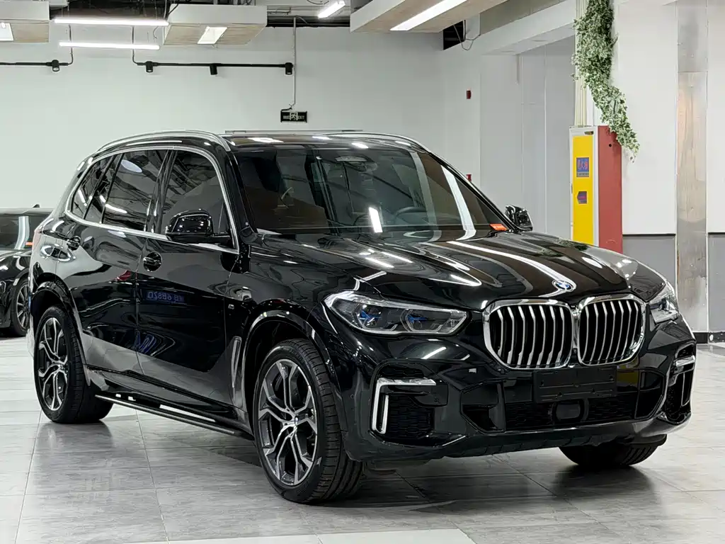BMW X5 — миниатюра 3