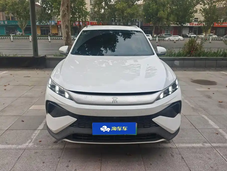 BYD Pro New Energy — миниатюра 2