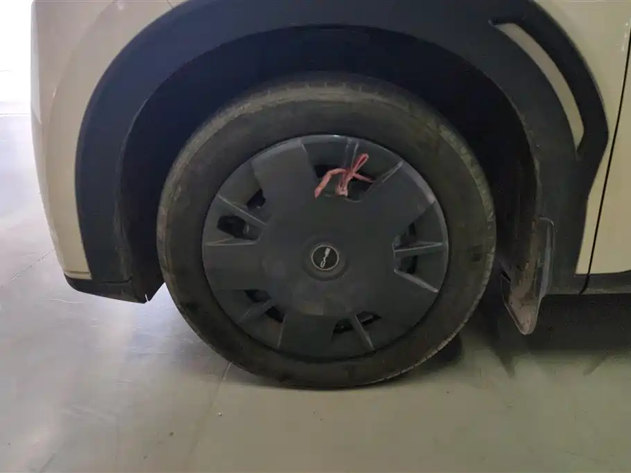 BYD Seagull 2024 305km
