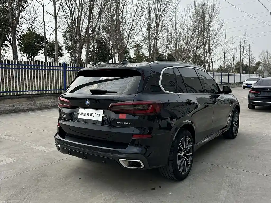BMW X5 — миниатюра 8