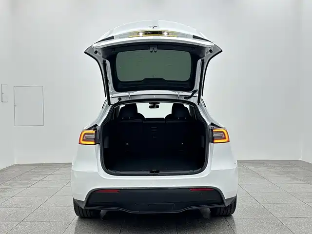 Tesla Model Y — миниатюра 15