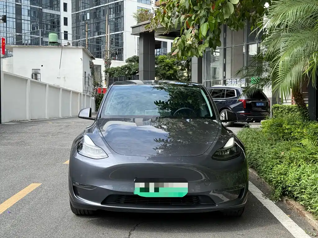 Tesla Model Y — миниатюра 2