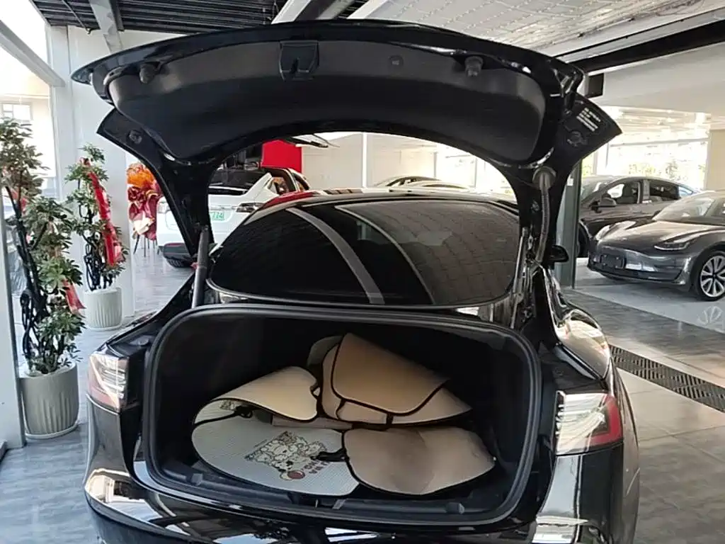 Tesla Model 3 — миниатюра 19