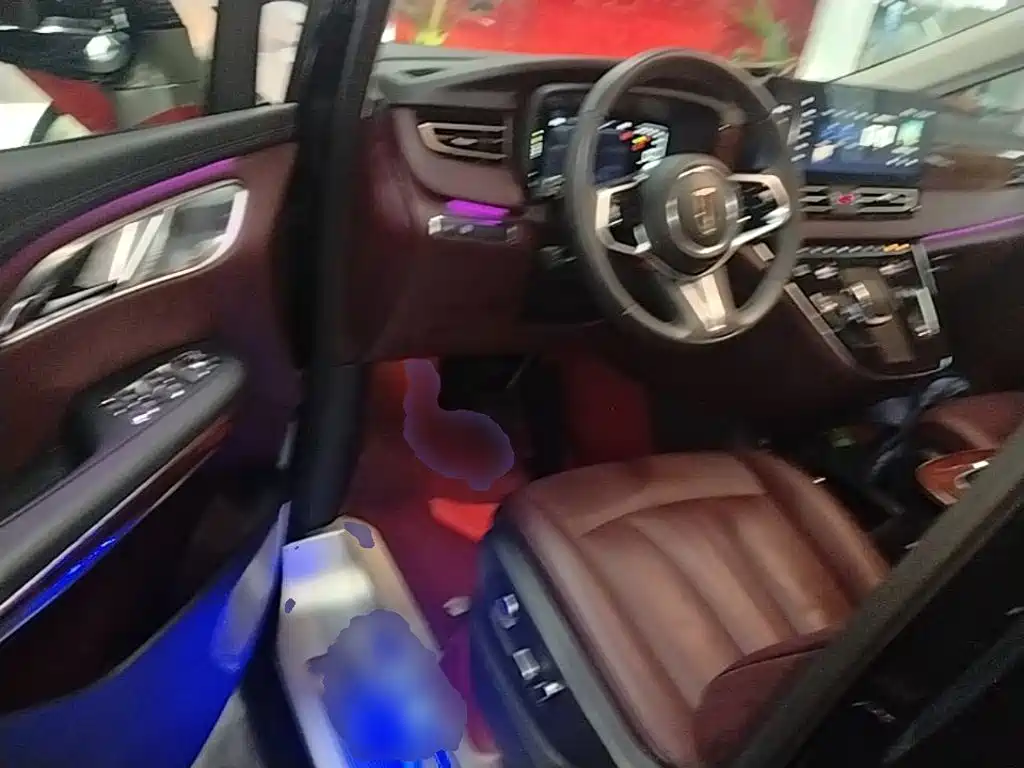 Hongqi Hongqi HQ9 — миниатюра 16