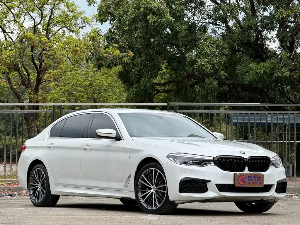 BMW 5 Series — миниатюра 3
