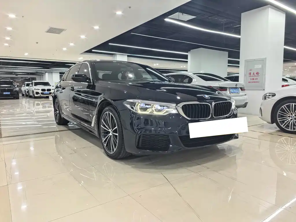 BMW 5 Series — миниатюра 3