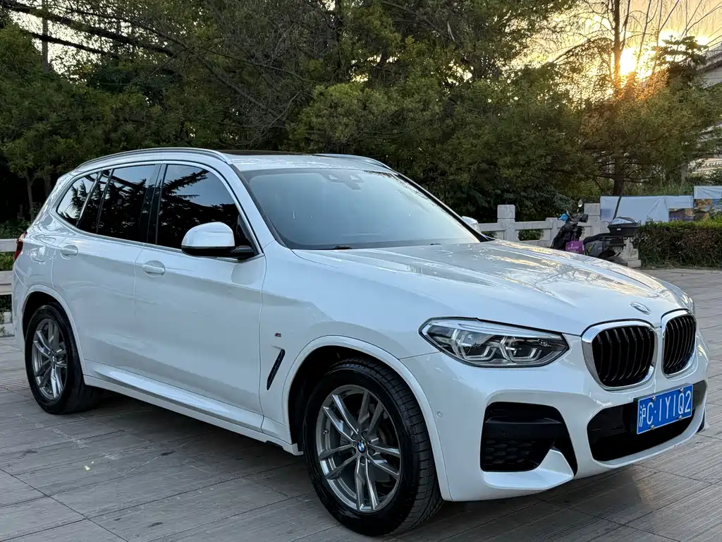 BMW X3 — миниатюра 3