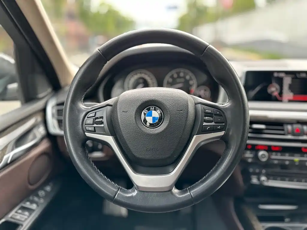 BMW X5 (Import) — миниатюра 23