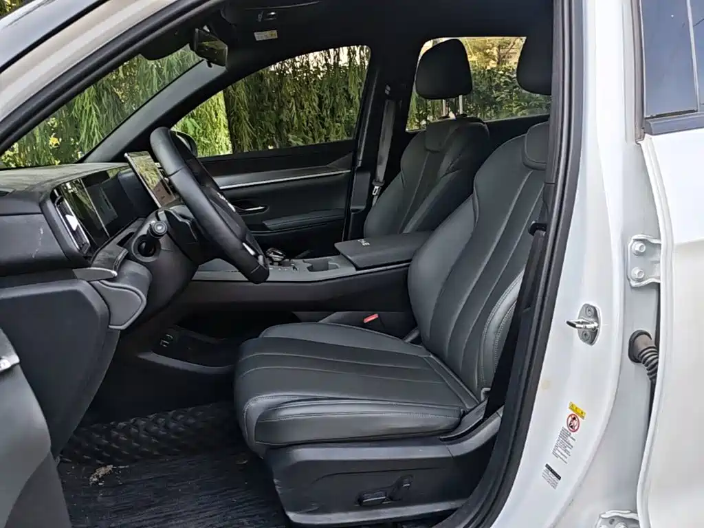 BYD Pro New Energy — миниатюра 15