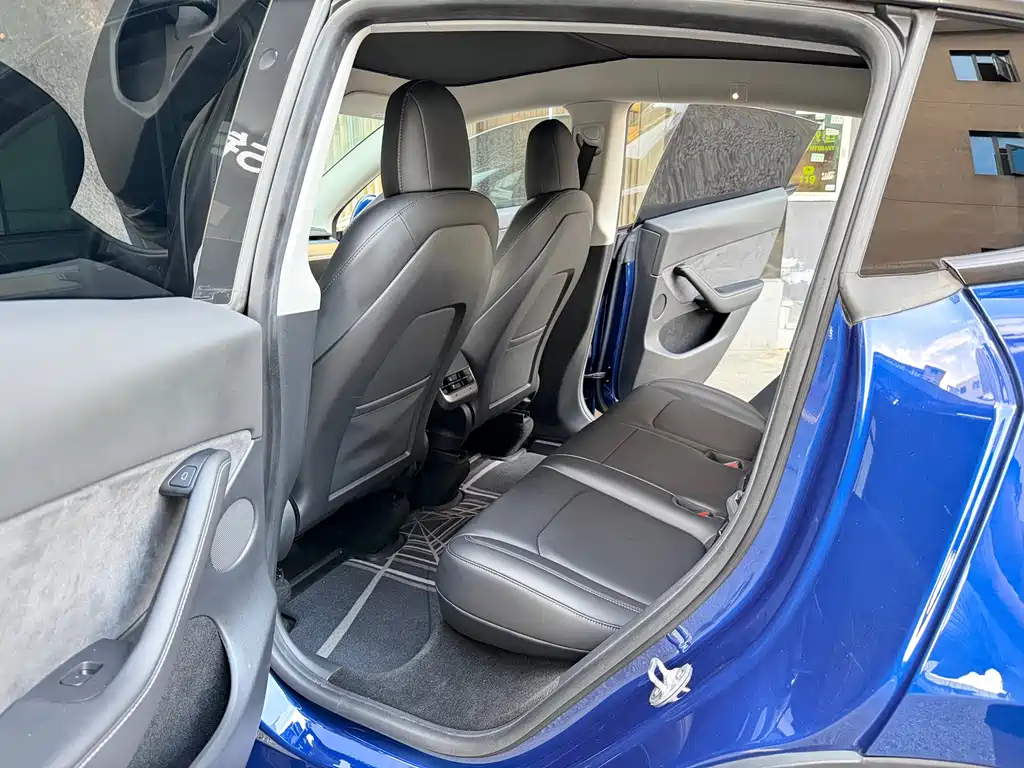 Tesla Model Y — миниатюра 10